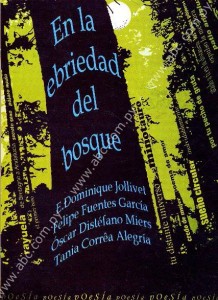 Paraguay, Brasil, España y Francia en poesía gestada en Internet y publicada en un libro por Delfina Acosta