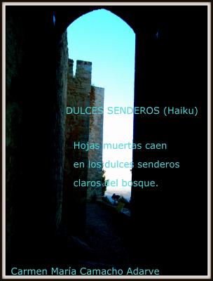 DULCES SENDEROS (HAIKU)