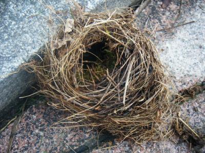 Síndrome del nido vacío (Publicado en Diario Jaén)